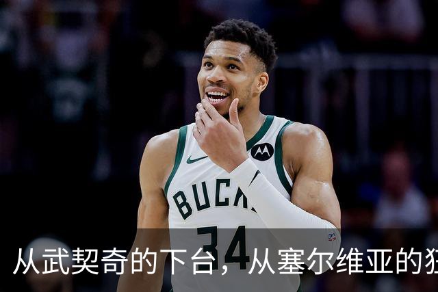 从武契奇的下台，从塞尔维亚的狂欢，来分析中国网友的眼界和素养